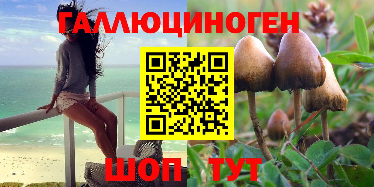 Псилоцибиновые грибы Psilocybe  Вход с VPN  Котельники  Галлюциногенные грибы MAGIC MUSHROOMS 